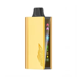 JNR Cruiser 12000 Puffs - No-Charge Disposable Vape
